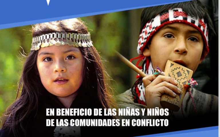 Agrupación mapuche local lanza campaña para recolectar útiles escolares