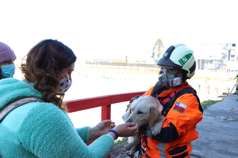 [Video] Bomberos rescató a perrito desde 20 metros de profundidad