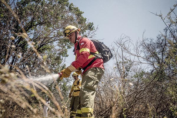 Brigada Central de CMPC se une a combatir incendio en Quilpué