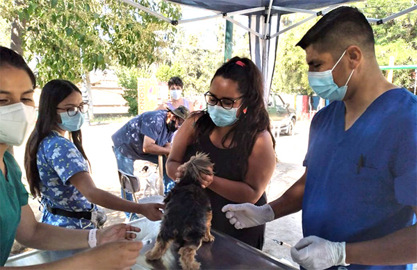 Zoonosis en terreno: Acercando la atención veterinaria a la comunidad pircana