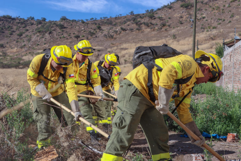 Brigada Central de CMPC realizó cortafuegos preventivos en cerro La Ballena