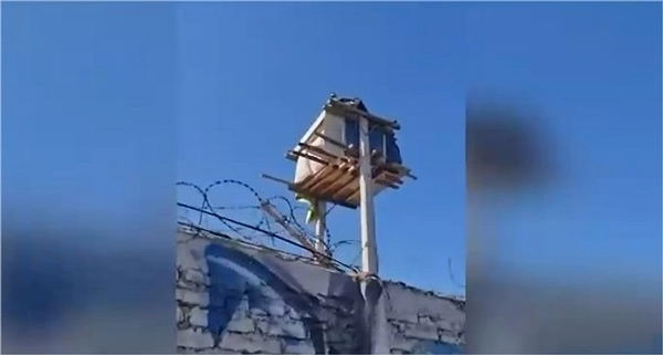 Construyó su “vivienda” entre dos postes de luz en La Pintana