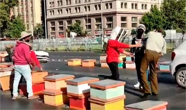 Protesta de apicultores culminó con carabineros picados por abejas
