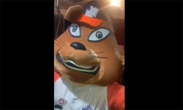 ¡Alerta de corpóreo!: “Vizcachín” el nuevo personaje puentealtino