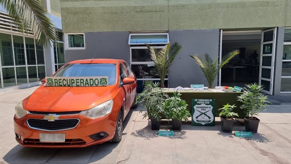 Denuncia permitió a carabineros incautar droga y recuperar auto robado