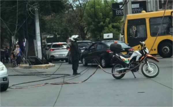 Camión cortó cables, derribó semáforo y se dio a la fuga