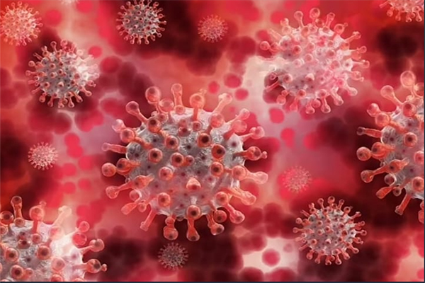 Nueva variante de coronavirus recombinada es confirmada por la Organización Mundial de la Salud