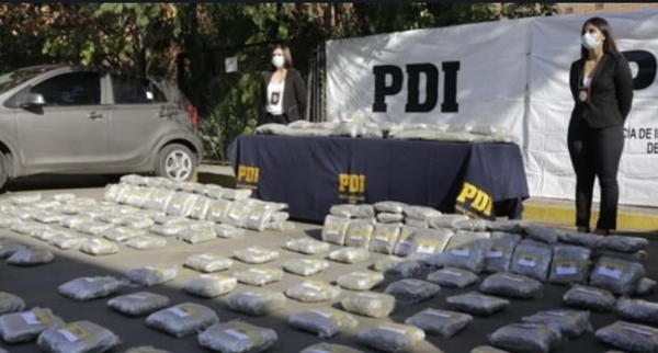 Operativo en RM: decomiso de marihuana “cripy” avaluado en $881 millones de pesos