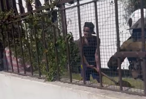 [Video] Carabineros frustra ataque de sujeto hacia su madre: la amenazó con una pala