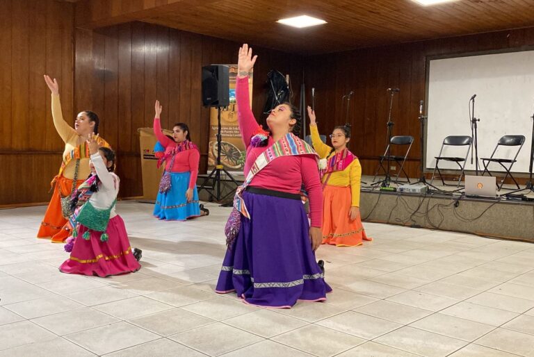 Agrupación de Folcloristas de Puente Alto celebró la Noche de San Juan en el Parque Gabriela