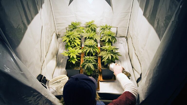 Sorprenden a acusado por violencia intrafamiliar con droga y laboratorio indoor
