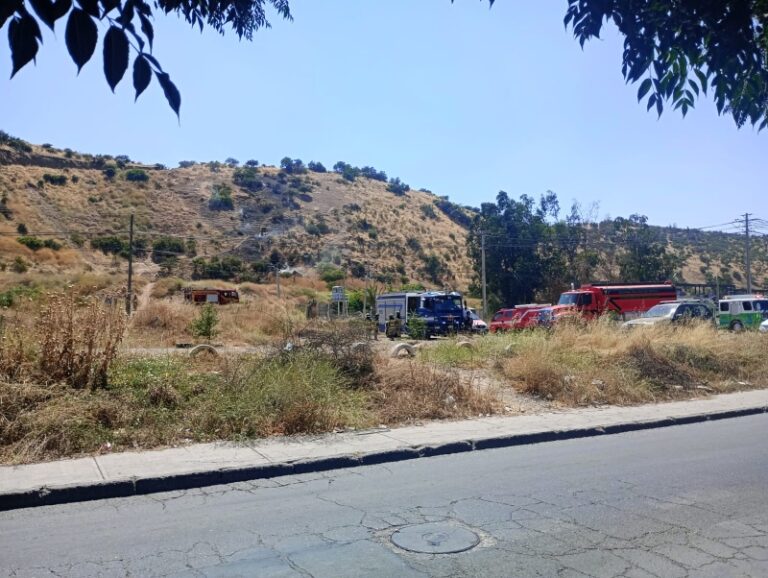 Incendio Forestal en Pirque