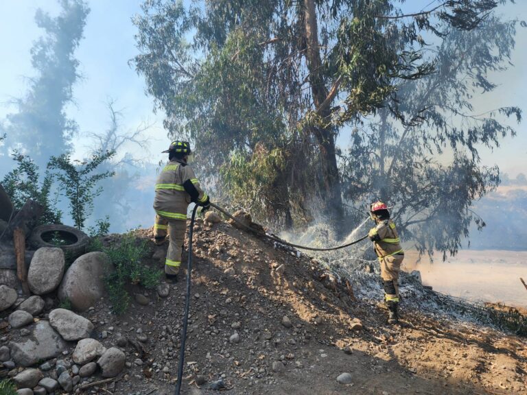 Bomberos confirma que no hay riesgos a viviendas en incendio forestal en Pirque
