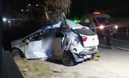 Dos muertos en accidente de tránsito en Puente Alto: Auto chocó con barrera de contención y palmera