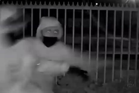 Turba de delincuentes protagoniza brutal asalto a adultos mayores